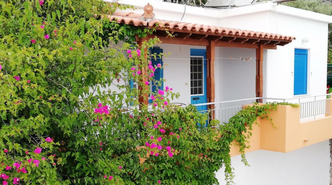 Apartment Apartments Jota *